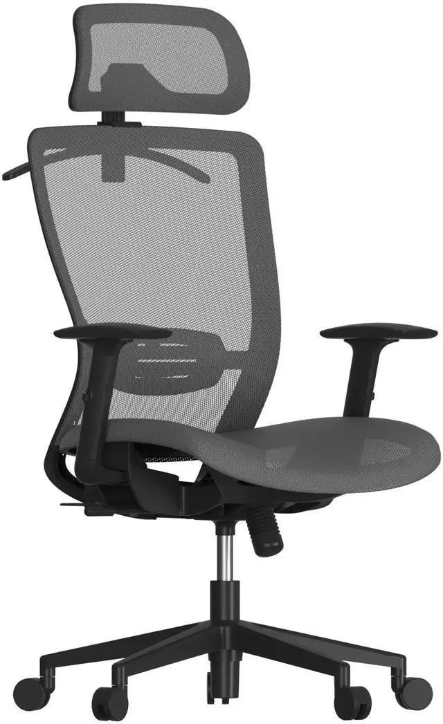 Main image of Ergonomic Office Chair, High Back Mesh Swivel Computer Chair, Executive Office Desk Chairs, with Adjustable Lumbar Support/2D Headrest/90-130° 3-Level Reclining, OC3 Air, Gray