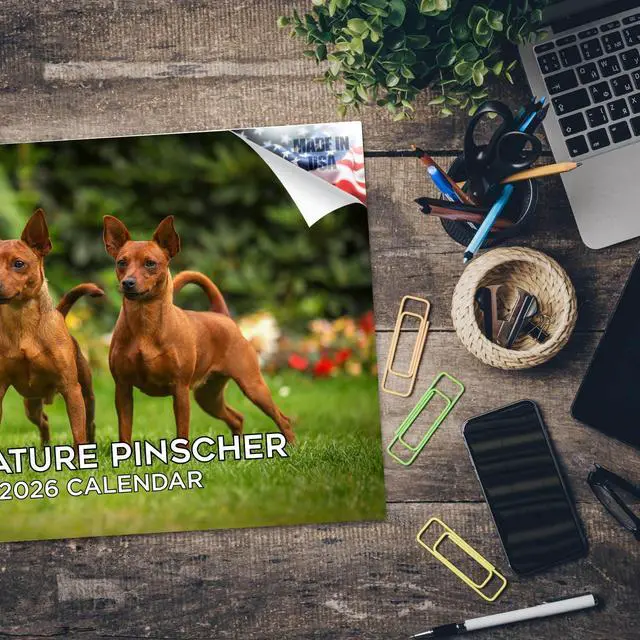 Alt view image 5 of 7 - Min Pin Calendar 2026 2027 14-Month Miniature Pinscher Wall Academic | Dog Lover Gift, Thick 100# No-Bleed Paper, Large Writing Blocks, Made in USA, King of Toys, Teacher Gift