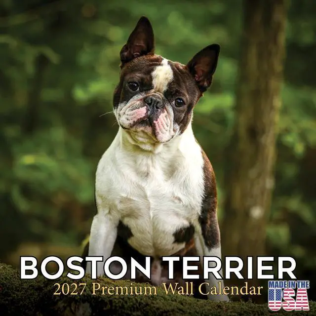 Main image of Boston Terrier Calendar 2026-2027, 16-Month 12x12 Wall Calendar | 2026-2027 Calendar, Dog Lover Gift, Made in USA, Thick 100# No-Bleed Paper, Large Writing Blocks, 12x12, US Holidays