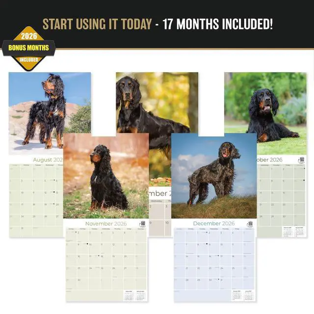 Alt view image 3 of 6 - Gordon Setter Calendar 2026-2027, 16-Month 12x12 Wall Calendar | 2026-2027 Calendar, Dog Lover Gift, Made in USA, Thick 100# No-Bleed Paper, Large Writing Blocks, 12x12, US Holidays
