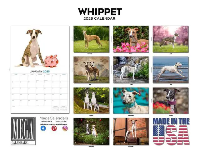 Alt view image 3 of 7 - Whippet Calendar 2026 2027 14 Month Wall Calendar | Dog Lover Gift, Thick 100# No-Bleed Paper, Large Writing Blocks, Made in USA, Sighthound Decor, Teacher Gift