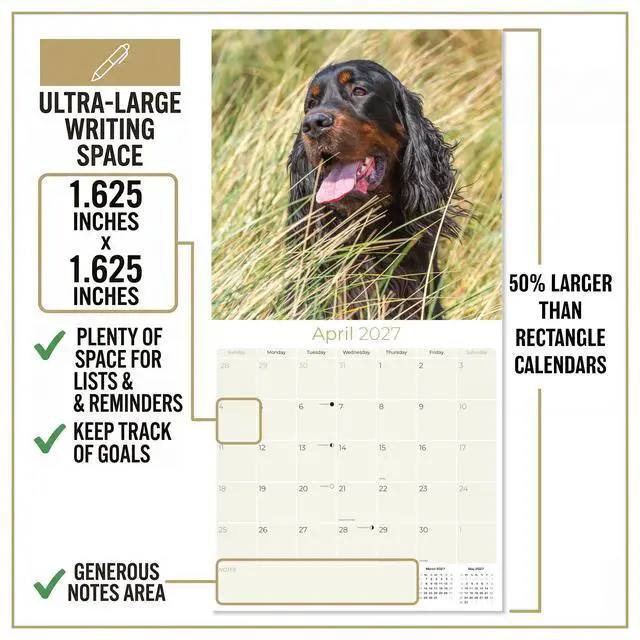 Alt view image 4 of 6 - Gordon Setter Calendar 2026-2027, 16-Month 12x12 Wall Calendar | 2026-2027 Calendar, Dog Lover Gift, Made in USA, Thick 100# No-Bleed Paper, Large Writing Blocks, 12x12, US Holidays