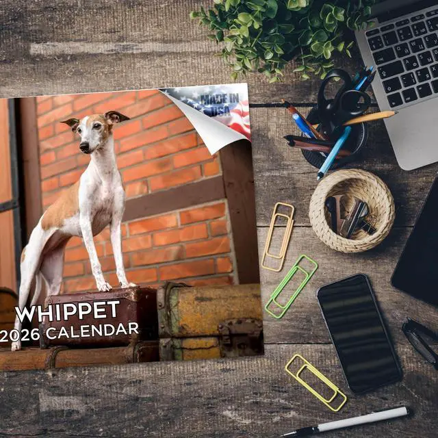 Alt view image 5 of 7 - Whippet Calendar 2026 2027 14 Month Wall Calendar | Dog Lover Gift, Thick 100# No-Bleed Paper, Large Writing Blocks, Made in USA, Sighthound Decor, Teacher Gift