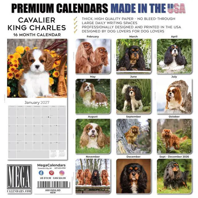 Alt view image 7 of 7 - Cavalier King Charles Calendar 2026-2027, 16-Month 12x12 Wall Calendar | 2026-2027 Calendar, Dog Lover Gift, Made in USA, Thick 100# No-Bleed Paper, Large Writing Blocks, 12x12, US Holidays