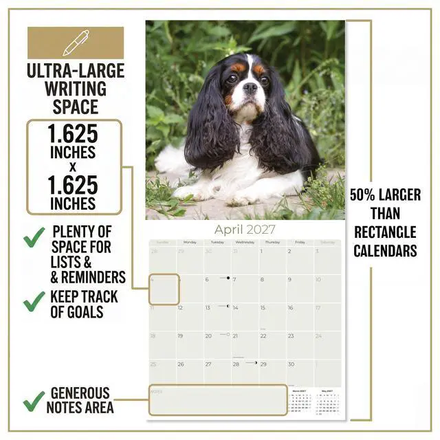 Alt view image 4 of 7 - Cavalier King Charles Calendar 2026-2027, 16-Month 12x12 Wall Calendar | 2026-2027 Calendar, Dog Lover Gift, Made in USA, Thick 100# No-Bleed Paper, Large Writing Blocks, 12x12, US Holidays