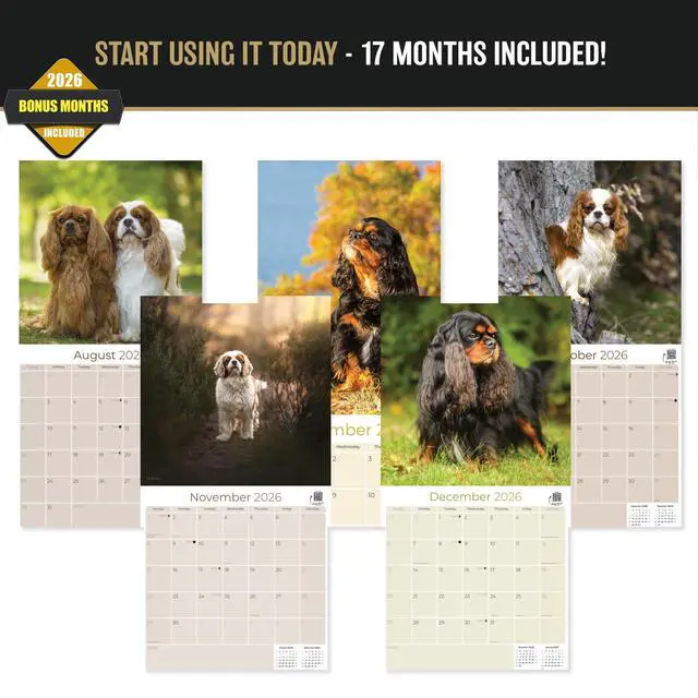 Alt view image 3 of 7 - Cavalier King Charles Calendar 2026-2027, 16-Month 12x12 Wall Calendar | 2026-2027 Calendar, Dog Lover Gift, Made in USA, Thick 100# No-Bleed Paper, Large Writing Blocks, 12x12, US Holidays