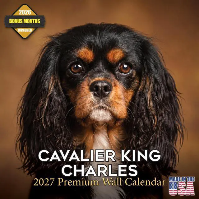 Main image of Cavalier King Charles Calendar 2026-2027, 16-Month 12x12 Wall Calendar | 2026-2027 Calendar, Dog Lover Gift, Made in USA, Thick 100# No-Bleed Paper, Large Writing Blocks, 12x12, US Holidays