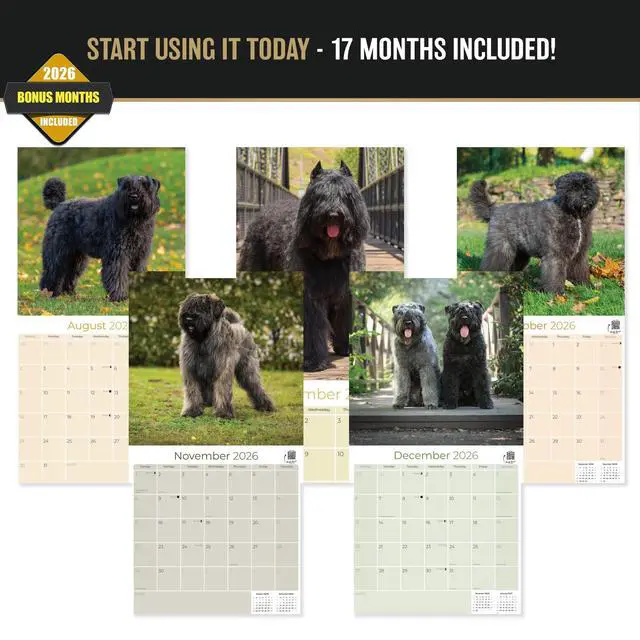 Alt view image 3 of 6 - Bouvier Des Flandres Calendar 2026-2027, 16-Month 12x12 Wall Calendar | 2026-2027 Calendar, Dog Lover Gift, Made in USA, Thick 100# No-Bleed Paper, Large Writing Blocks, 12x12, US Holidays