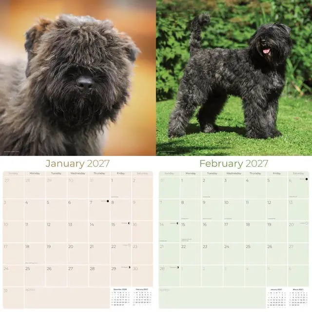 Alt view image 2 of 6 - Bouvier Des Flandres Calendar 2026-2027, 16-Month 12x12 Wall Calendar | 2026-2027 Calendar, Dog Lover Gift, Made in USA, Thick 100# No-Bleed Paper, Large Writing Blocks, 12x12, US Holidays