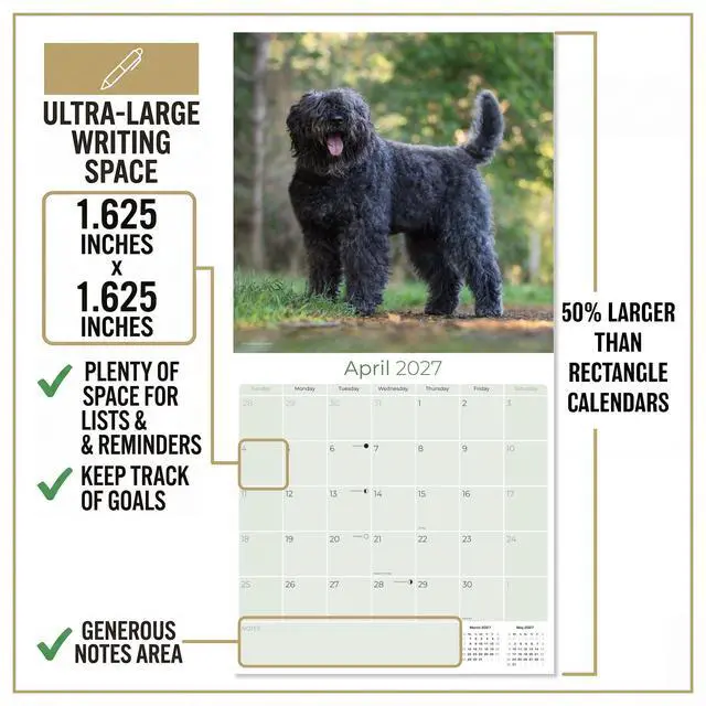 Alt view image 4 of 6 - Bouvier Des Flandres Calendar 2026-2027, 16-Month 12x12 Wall Calendar | 2026-2027 Calendar, Dog Lover Gift, Made in USA, Thick 100# No-Bleed Paper, Large Writing Blocks, 12x12, US Holidays