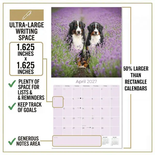 Alt view image 4 of 7 - Bernese Mountain Dog Calendar 2026-2027, 16-Month 12x12 Wall Calendar | 2026-2027 Calendar, Dog Lover Gift, Made in USA, Thick 100# No-Bleed Paper, Large Writing Blocks, 12x12, US Holidays