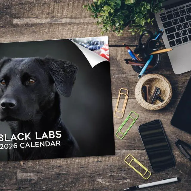 Alt view image 5 of 7 - Black Lab Calendar 2026 2027 14-Month Labrador Retriever Wall Academic | Black Lab Dog Lover Gift, Thick 100# No-Bleed Paper, Large Writing Blocks, Made in USA, Puppy Photos, Teacher Gift