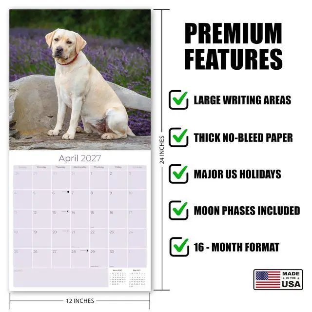 Alt view image 5 of 7 - Labrador Retriever Yellow Calendar 2026-2027, 16-Month 12x12 Wall Calendar | 2026-2027 Calendar, Dog Lover Gift, Made in USA, Thick 100# No-Bleed Paper, Large Writing Blocks, 12x12, US Holidays
