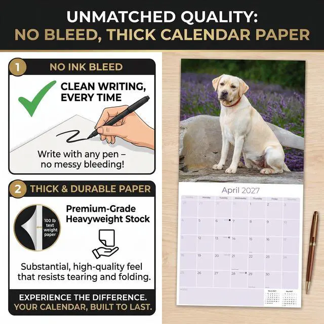 Alt view image 6 of 7 - Labrador Retriever Yellow Calendar 2026-2027, 16-Month 12x12 Wall Calendar | 2026-2027 Calendar, Dog Lover Gift, Made in USA, Thick 100# No-Bleed Paper, Large Writing Blocks, 12x12, US Holidays