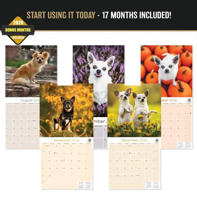 Alt view image 3 of 7 - Chihuahua Calendar 2026-2027, 16-Month 12x12 Wall Calendar | 2026-2027 Calendar, Dog Lover Gift, Made in USA, Thick 100# No-Bleed Paper, Large Writing Blocks, 12x12, US Holidays