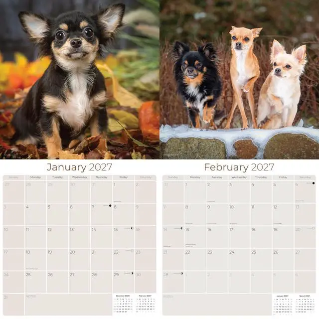 Alt view image 2 of 7 - Chihuahua Calendar 2026-2027, 16-Month 12x12 Wall Calendar | 2026-2027 Calendar, Dog Lover Gift, Made in USA, Thick 100# No-Bleed Paper, Large Writing Blocks, 12x12, US Holidays