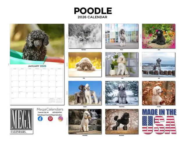 Alt view image 3 of 7 - Poodle Calendar 2026 2027 14-Month Standard Poodle Wall Academic | Dog Lover Gift, Thick 100# No-Bleed Paper, Large Writing Blocks, Made in USA, Groomer Gift, Teacher Gift