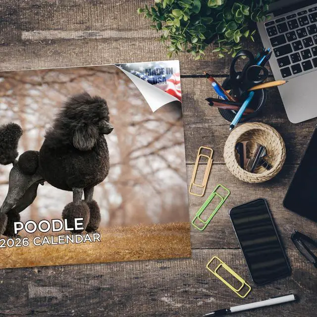 Alt view image 5 of 7 - Poodle Calendar 2026 2027 14-Month Standard Poodle Wall Academic | Dog Lover Gift, Thick 100# No-Bleed Paper, Large Writing Blocks, Made in USA, Groomer Gift, Teacher Gift