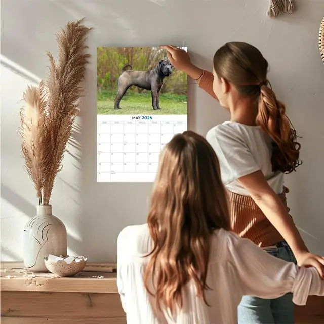 Alt view image 2 of 7 - Shar Pei Calendar 2026 2027 14 Month Wall Calendar | Dog Lover Gift, Thick 100# No-Bleed Paper, Large Writing Blocks, Made in USA, Wrinkle Dog Photos, Teacher Gift