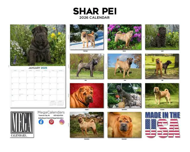 Alt view image 3 of 7 - Shar Pei Calendar 2026 2027 14 Month Wall Calendar | Dog Lover Gift, Thick 100# No-Bleed Paper, Large Writing Blocks, Made in USA, Wrinkle Dog Photos, Teacher Gift