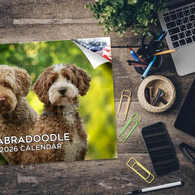 Alt view image 5 of 7 - Labradoodle Calendar 2026 2027 14 Month Wall Calendar | Dog Lover Gift, Thick 100# No-Bleed Paper, Large Writing Blocks, Made in USA, Doodle Decor, Teacher Gift
