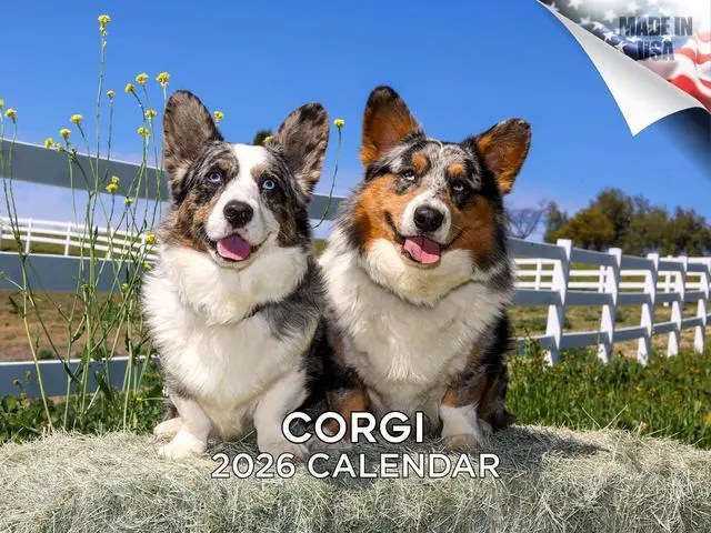 Main image of Corgi Calendar 2026 2027 14-Month Welsh Corgi Wall Academic | Dog Lover Gift, Thick 100# No-Bleed Paper, Large Writing Blocks, Made in USA, Corgi Butt Photos, Teacher Gift