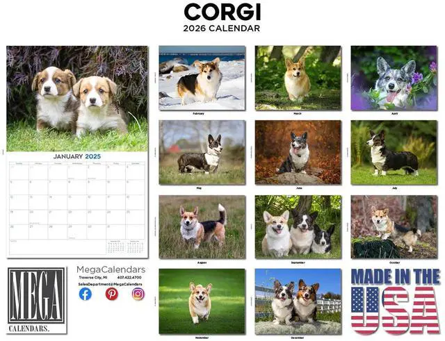 Alt view image 3 of 7 - Corgi Calendar 2026 2027 14-Month Welsh Corgi Wall Academic | Dog Lover Gift, Thick 100# No-Bleed Paper, Large Writing Blocks, Made in USA, Corgi Butt Photos, Teacher Gift