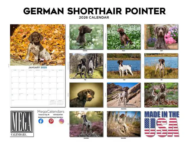 Alt view image 3 of 7 - German Shorthaired Pointer Calendar 2026 2027 14-Month GSP Wall Academic | Dog Lover Gift, Thick 100# No-Bleed Paper, Large Writing Blocks, Made in USA, Bird Dog Decor, Teacher Gift