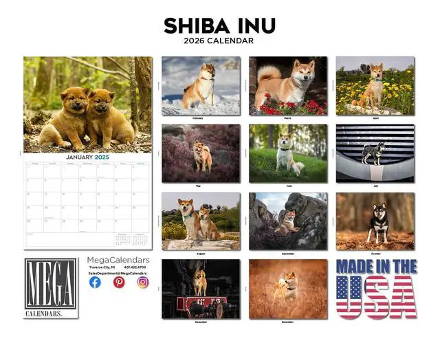 Alt view image 3 of 7 - Shiba Inu Calendar 2026 2027 14 Month Wall Calendar | Dog Lover Gift, Thick 100# No-Bleed Paper, Large Writing Blocks, Made in USA, Japanese Dog Decor, Teacher Gift