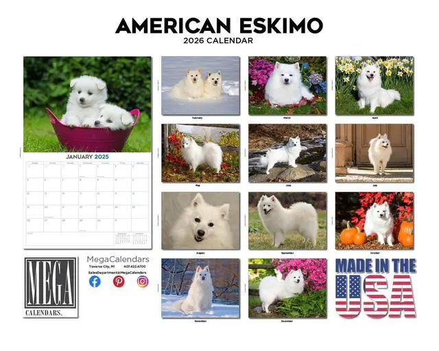 Alt view image 3 of 7 - American Eskimo Dog Calendar 2026 2027 14-Month Eskie Wall Academic | Dog Lover Gift, Thick 100# No-Bleed Paper, Large Writing Blocks, Made in USA, Fluffy Dog Decor, Teacher Gift