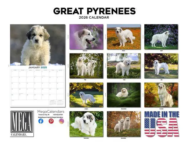 Alt view image 3 of 7 - Great Pyrenees Calendar 2026 2027 14 Month Wall Calendar | Dog Lover Gift, Thick 100# No-Bleed Paper, Large Writing Blocks, Made in USA, Gentle Giant Decor, Teacher Gift