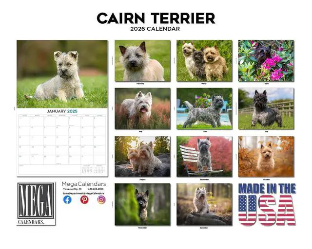 Alt view image 3 of 7 - Cairn Terrier Calendar 2026 2027 14 Month Wall Calendar | Dog Lover Gift, Thick 100# No-Bleed Paper, Large Writing Blocks, Made in USA, Small Terrier Decor, Teacher Gift