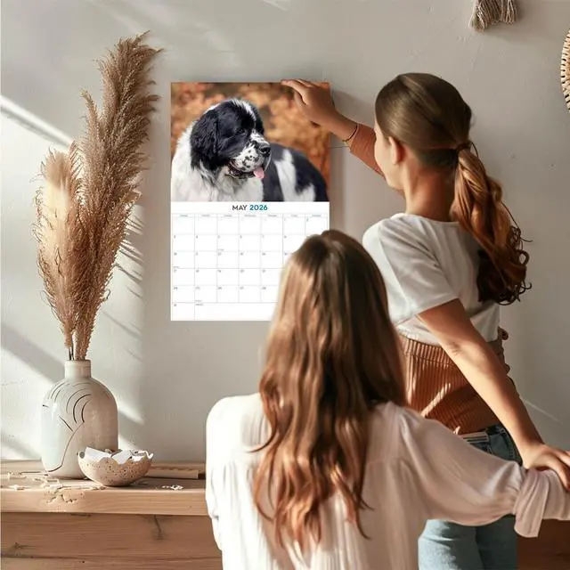 Alt view image 2 of 7 - Newfoundland Calendar 2026 2027 14-Month Newfie Wall Academic | Dog Lover Gift, Thick 100# No-Bleed Paper, Large Writing Blocks, Made in USA, Gentle Giant Decor, Teacher Gift