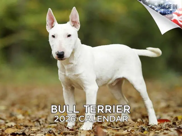 Main image of Bull Terrier Calendar 2026 2027 14 Month Wall Calendar | Dog Lover Gift, Thick 100# No-Bleed Paper, Large Writing Blocks, Made in USA, Bully Breed Decor, Teacher Gift