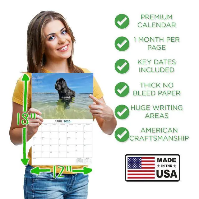 Alt view image 4 of 7 - Newfoundland Calendar 2026 2027 14-Month Newfie Wall Academic | Dog Lover Gift, Thick 100# No-Bleed Paper, Large Writing Blocks, Made in USA, Gentle Giant Decor, Teacher Gift