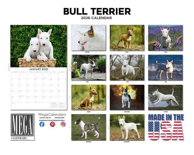 Alt view image 3 of 7 - Bull Terrier Calendar 2026 2027 14 Month Wall Calendar | Dog Lover Gift, Thick 100# No-Bleed Paper, Large Writing Blocks, Made in USA, Bully Breed Decor, Teacher Gift