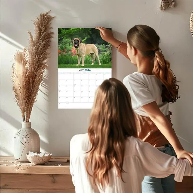 Alt view image 2 of 7 - English Mastiff Calendar 2026 2027 14-Month Mastiff Wall Academic | Dog Lover Gift, Thick 100# No-Bleed Paper, Large Writing Blocks, Made in USA, Gentle Giant Decor, Teacher Gift