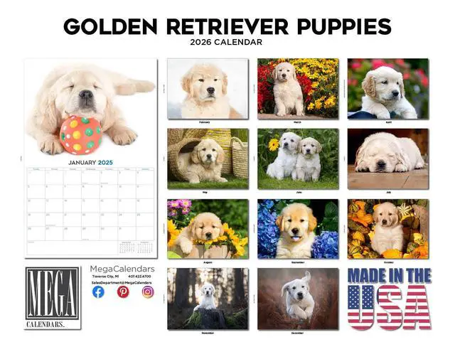 Alt view image 3 of 7 - Golden Retriever Puppy Calendar 2026 2027 14 Month Wall Calendar | Dog Lover Gift, Thick 100# No-Bleed Paper, Large Writing Blocks, Made in USA, Puppy Photos, Teacher Gift