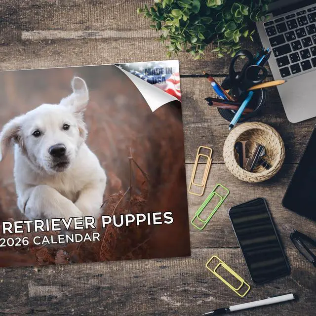 Alt view image 5 of 7 - Golden Retriever Puppy Calendar 2026 2027 14 Month Wall Calendar | Dog Lover Gift, Thick 100# No-Bleed Paper, Large Writing Blocks, Made in USA, Puppy Photos, Teacher Gift
