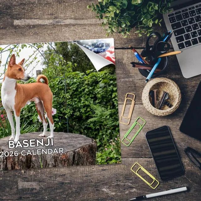 Alt view image 5 of 7 - Basenji Calendar 2026 2027 14 Month Wall Calendar | Dog Lover Gift, Thick 100# No-Bleed Paper, Large Writing Blocks, Made in USA, Barkless Dog Decor, Teacher Gift