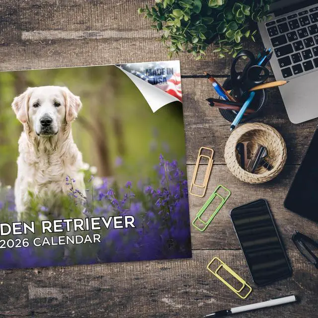 Alt view image 5 of 7 - Golden Retriever Calendar 2026 2027 14 Month Wall Calendar | Dog Lover Gift, Thick 100# No-Bleed Paper, Large Writing Blocks, Made in USA, Golden Dog Decor, Teacher Gift