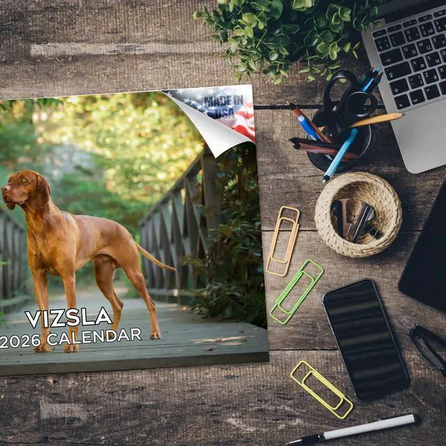 Alt view image 5 of 7 - Vizsla Calendar 2026 2027 14 Month Wall Calendar | Dog Lover Gift, Thick 100# No-Bleed Paper, Large Writing Blocks, Made in USA, Hungarian Pointer Decor, Teacher Gift