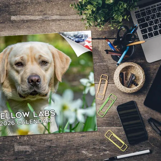 Alt view image 5 of 7 - Yellow Lab Calendar 2026 2027 14-Month Yellow Labrador Wall Academic | Dog Lover Gift, Thick 100# No-Bleed Paper, Large Writing Blocks, Made in USA, Retriever Decor, Teacher Gift