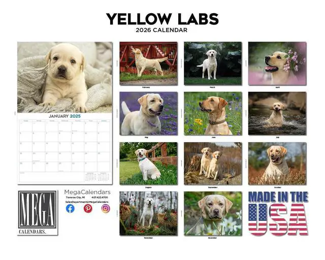 Alt view image 3 of 7 - Yellow Lab Calendar 2026 2027 14-Month Yellow Labrador Wall Academic | Dog Lover Gift, Thick 100# No-Bleed Paper, Large Writing Blocks, Made in USA, Retriever Decor, Teacher Gift