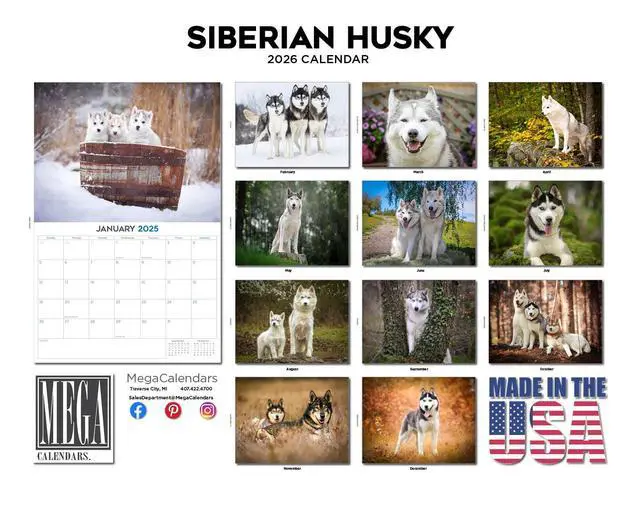 Alt view image 3 of 7 - Husky Calendar 2026 2027 14-Month Siberian Husky Wall Academic | Dog Lover Gift, Thick 100# No-Bleed Paper, Large Writing Blocks, Made in USA, Sled Dog Decor, Teacher Gift