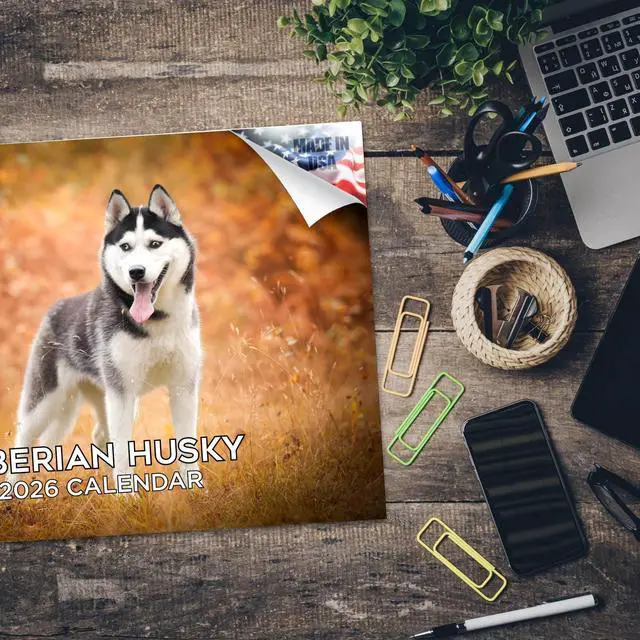 Alt view image 5 of 7 - Husky Calendar 2026 2027 14-Month Siberian Husky Wall Academic | Dog Lover Gift, Thick 100# No-Bleed Paper, Large Writing Blocks, Made in USA, Sled Dog Decor, Teacher Gift