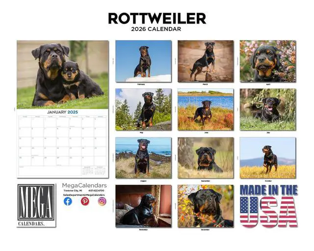 Alt view image 3 of 7 - Rottweiler Calendar 2026 2027 14 Month Wall Calendar | Dog Lover Gift, Thick 100# No-Bleed Paper, Large Writing Blocks, Made in USA, Guardian Dog Decor, Teacher Gift
