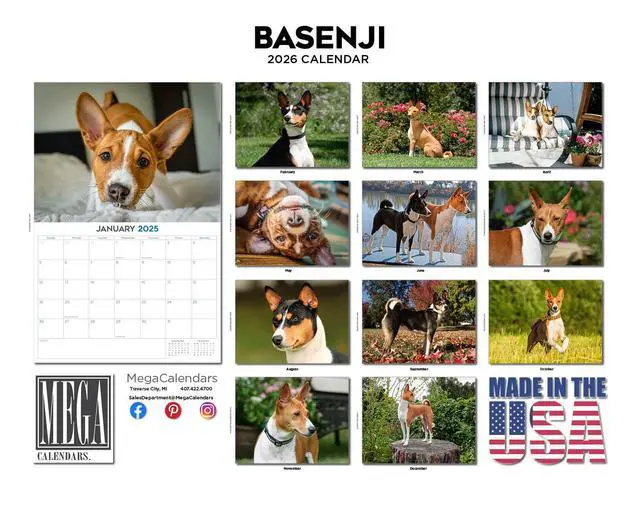 Alt view image 3 of 7 - Basenji Calendar 2026 2027 14 Month Wall Calendar | Dog Lover Gift, Thick 100# No-Bleed Paper, Large Writing Blocks, Made in USA, Barkless Dog Decor, Teacher Gift