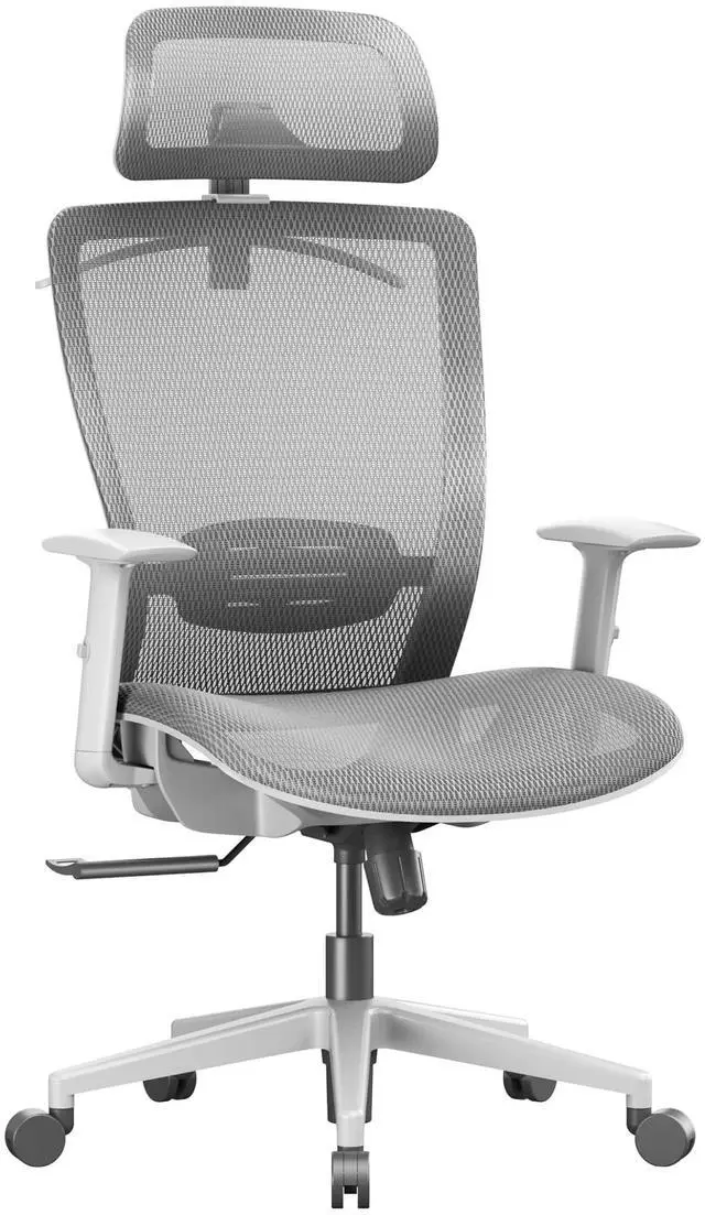 Main image of Ergonomic Office Chair High Back Mesh Swivel Computer Chair Executive Office Desk Chairs with Adjustable Lumbar Support/2D Headrest/90-130° 3-Level Reclining, OC3 Air, Light Gray