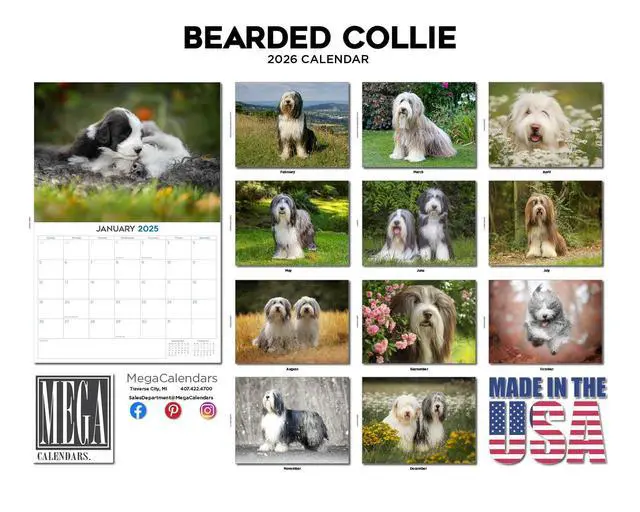 Alt view image 3 of 7 - Bearded Collie Calendar 2026 2027 14 Month Wall Calendar | Dog Lover Gift, Thick 100# No-Bleed Paper, Large Writing Blocks, Made in USA, Shaggy Dog Decor, Teacher Gift